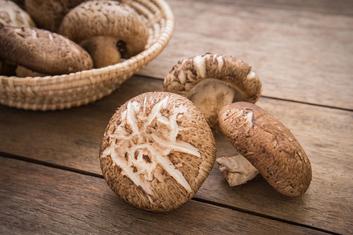 Resep Tumis Jamur Sehat dan Lezat yang Mudah Dibuat
